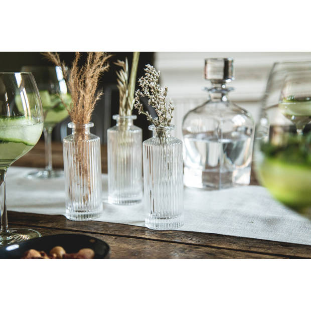 Oliva’s – Vaas glas – Set van 3 vaasjes – Geschikt voor droogbloemen en stekjes