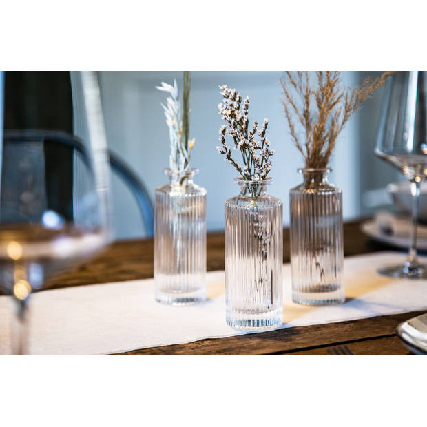 Oliva’s – Vaas glas – Set van 3 vaasjes – Geschikt voor droogbloemen en stekjes