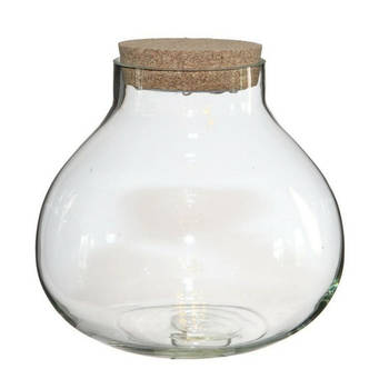 Ideas4seasons Pot/vaas van glas voor planten ecosysteem - deksel met LED verlichting - D20 x H20 cm - Vazen
