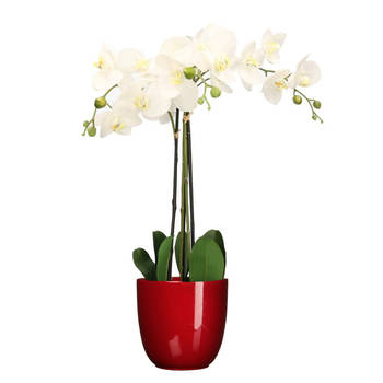 Orchidee kunstplant wit - 75 cm - inclusief bloempot rood glans - Kunstplanten