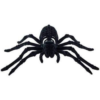 Chaks spin skeletA 22 cm - zwart - velvet/fluweel tarantula -A Horror/griezel thema decoratie beestjes - Feestdecoratiev