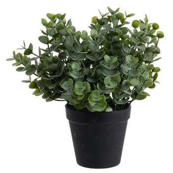 Eucalyptus Kunstplant - in pot - groen - H28 cm - Kunstplanten