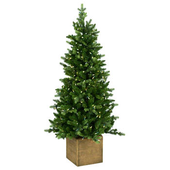 Norfolk kunst (tafel)kerstboom - 137 cm - groen - Ø 97 cm - 903 tips - 200 ledlampjes - houten box