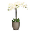 Orchidee kunstplant wit - 75 cm - inclusief bloempot taupe mat - Kunstplanten