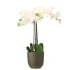Orchidee kunstplant wit - 75 cm - inclusief bloempot olijfgroen mat - Kunstplanten