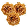 Cosy and Trendy bloem roos - op clip -3x - goud - 9 cm - kunststof - Kersthangers