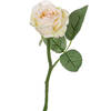 Top Art Kunstbloem roos Nina - creme wit - 27 cm - kunststof steel - decoratie bloemen - Kunstbloemen