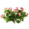 Topart Kunst nep boeket geranium lichtroze 40 cm - Kunstbloemen