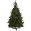 Kentucky kunstkerstboom - 213 cm - groen - Ø 135 cm - 1.894 tips - houten voet