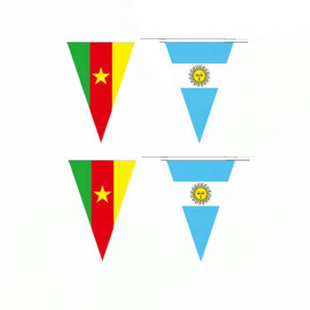 Internationale vlaggetjes lijn slinger 11 meter - Vlaggenlijnen