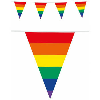3x Plastic regenboog vlaggenlijn 10 meter - Vlaggenlijnen