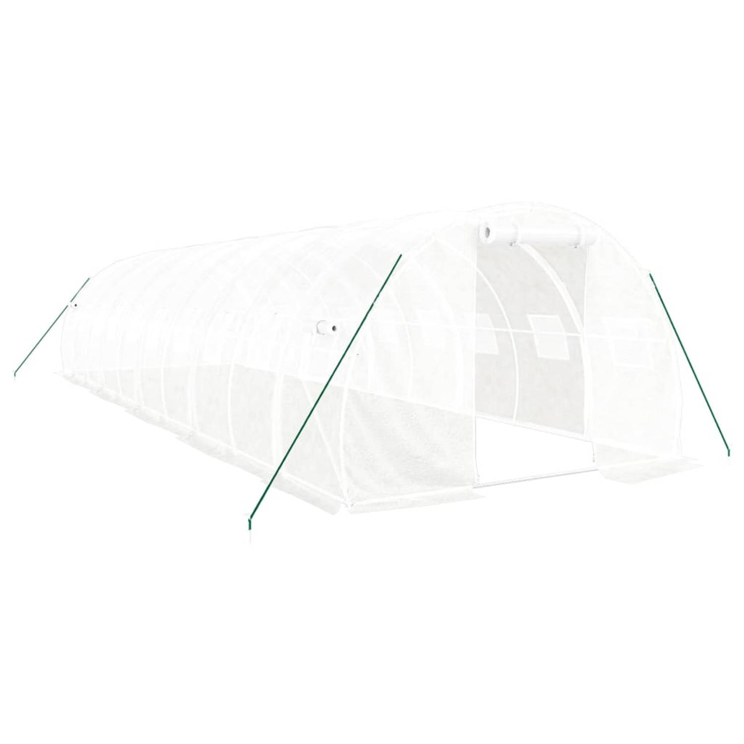 The Living Store Broeikas - 10x3x2m - PE - Gegalvaniseerd Staal - UV- Weerbestendig - Met 2 Ritsen