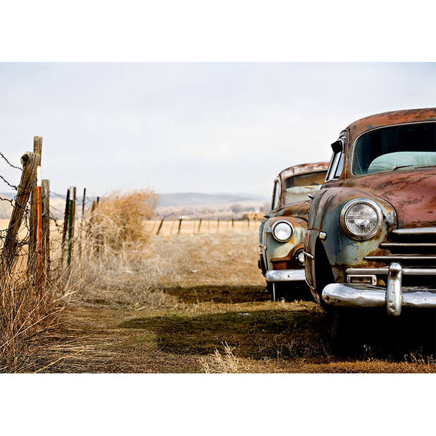 Inductiebeschermer - Country Road - 80.2x52.2 cm