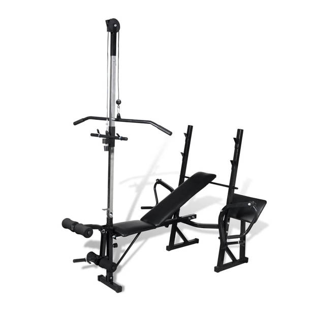 The Living Store Verstelbare Halterbank - Fitnessapparatuur - 182 x 135 x 205 cm - Staal