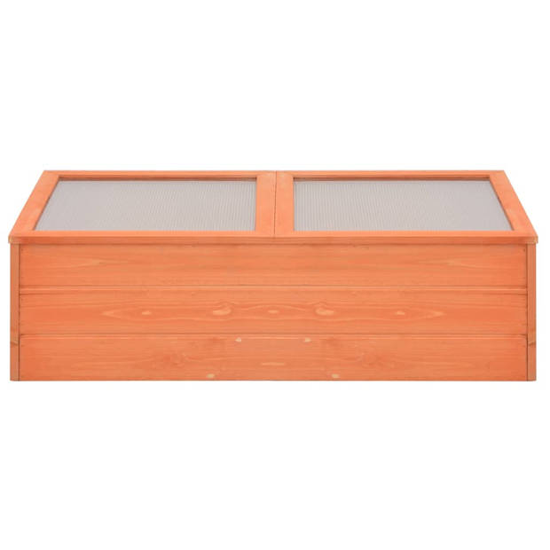 The Living Store Houten Broeikas - 100 x 50 x 34 cm - PC platen - Waterbestendig