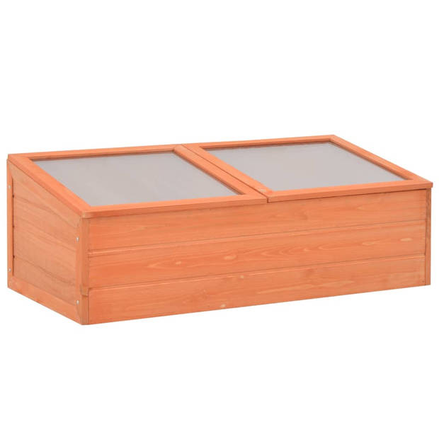 The Living Store Houten Broeikas - 100 x 50 x 34 cm - PC platen - Waterbestendig