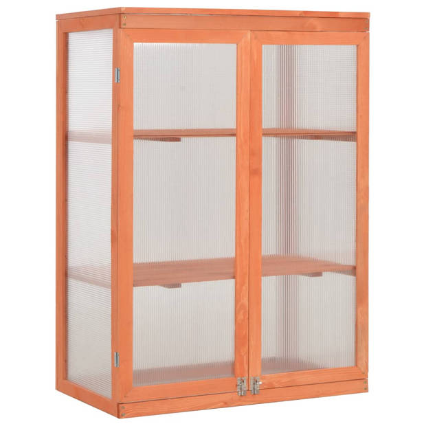 The Living Store Kweekkas - Houten kas - 75 x 47 x 109 cm - Met 2 schappen en 2 deuren