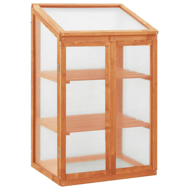 The Living Store Kweekkas - Hout - 60 x 45 x 85/100 cm - Met PC-platen