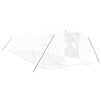 The Living Store Broeikas - 10x3x2m - PE - Gegalvaniseerd Staal - UV- Weerbestendig - Met 2 Ritsen