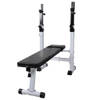 The Living Store Trainingsbank verstelbaar met gewichtenrek - Ideaal voor thuis - Staal - 120 x 50 cm - Max - 100 kg