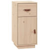 The Living Store Dressoir - Grenenhout - 34 x 40 x 75 cm - Opbergruimte - Display functie