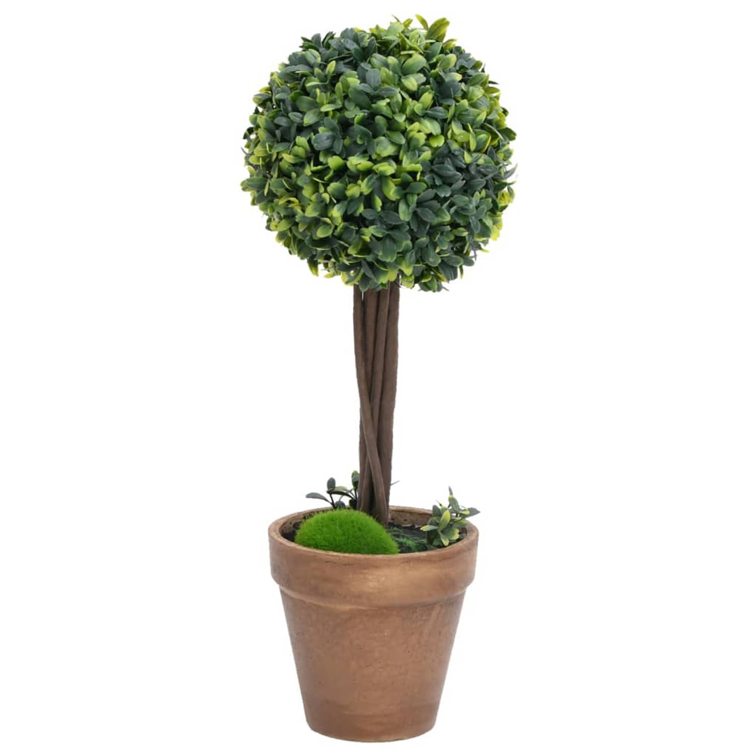 The Living Store Buxus Kunstplant - Groene Decoratieplant - Weerbestendig - 14.5 x 56 cm - Stabiele Eucalyptushouten Stam