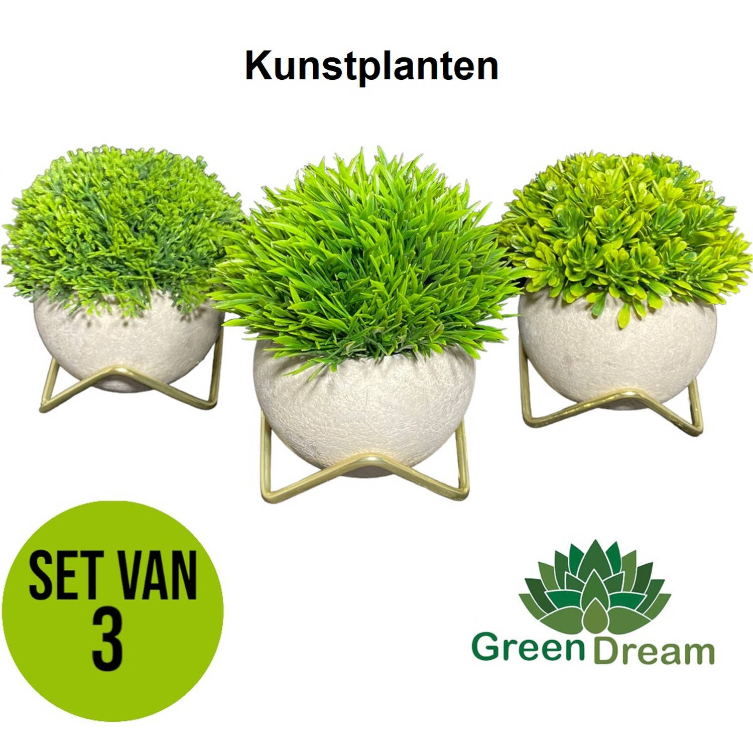 GreenDream® Kunstplanten - Kunstplanten voor binnen - 15x12 cm -Set van 3 stuks - Nep planten in pot - Vetplanten - Decoratie
