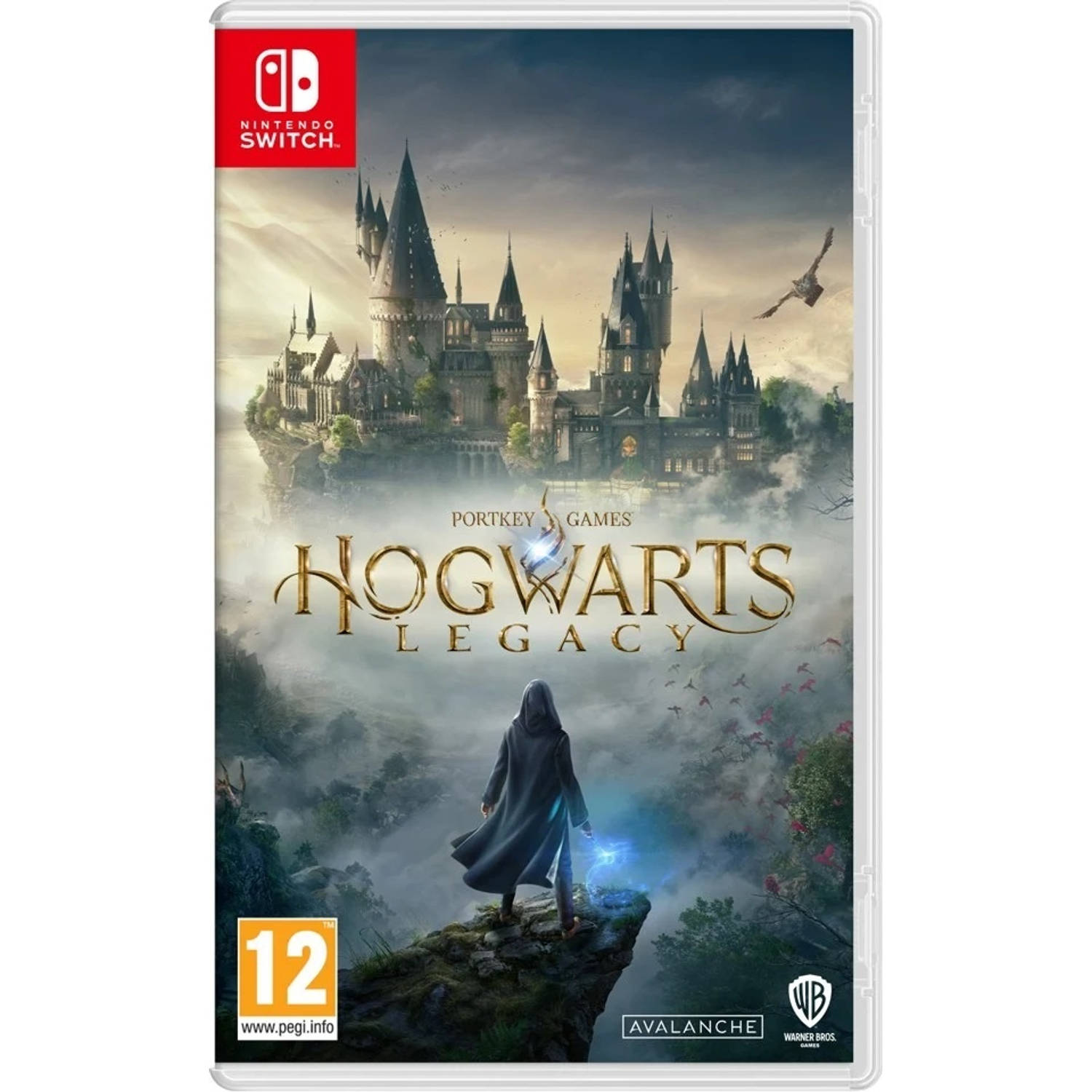 Hogwarts Legacy Standard Edition (Nintendo Switch)