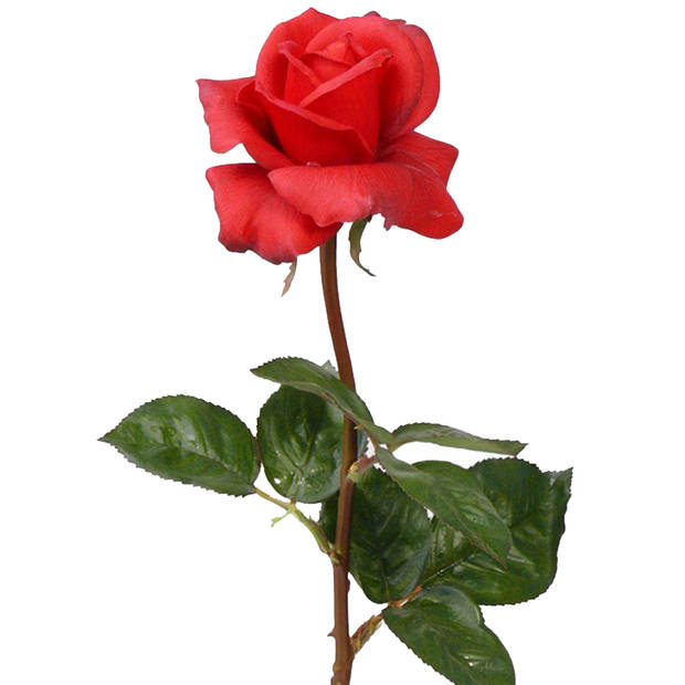 Top Art Kunstbloem roos Caroline - 3x - rood - 70 cm - zijde - kunststof steel - decoratie bloemen - Kunstbloemen