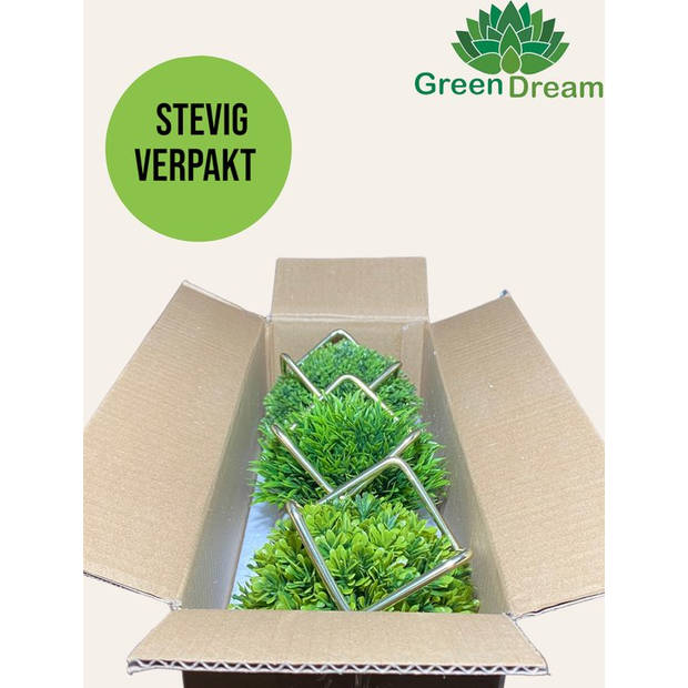 GreenDream® Kunstplanten - Kunstplanten voor binnen - 15x12 cm -Set van 3 stuks - Vetplanten - Decoratie