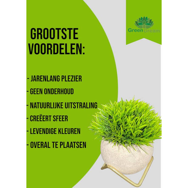 GreenDream® Kunstplanten - Kunstplanten voor binnen - 15x12 cm -Set van 3 stuks - Vetplanten - Decoratie