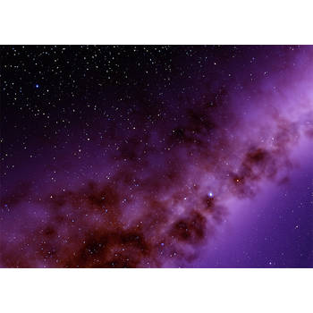 Inductiebeschermer - Paarse sterren - 78x52 cm
