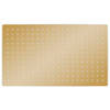 The Living Store Douchekop - Goud - 50 x 30 (L x B) - Anti-kalksproeiers