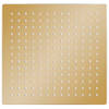 The Living Store Vierkante Douchekop - 30 x 30 cm - Goud - RVS en siliconen