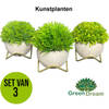 GreenDream® Kunstplanten - Kunstplanten voor binnen - 15x12 cm -Set van 3 stuks - Vetplanten - Decoratie