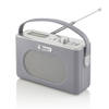 Swan Draagbare Retro Radio DAB+ - met Bluetooth - Grijs