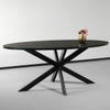 Eettafel ovaal 180cm Rato zwart ovale tafel