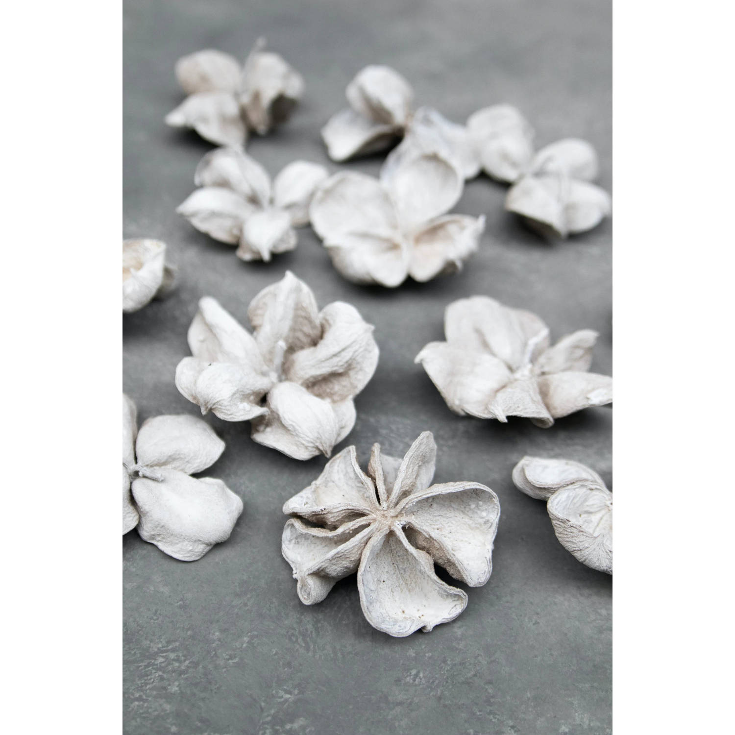 Couronne decoratie landlotusflower 10 stuks wit