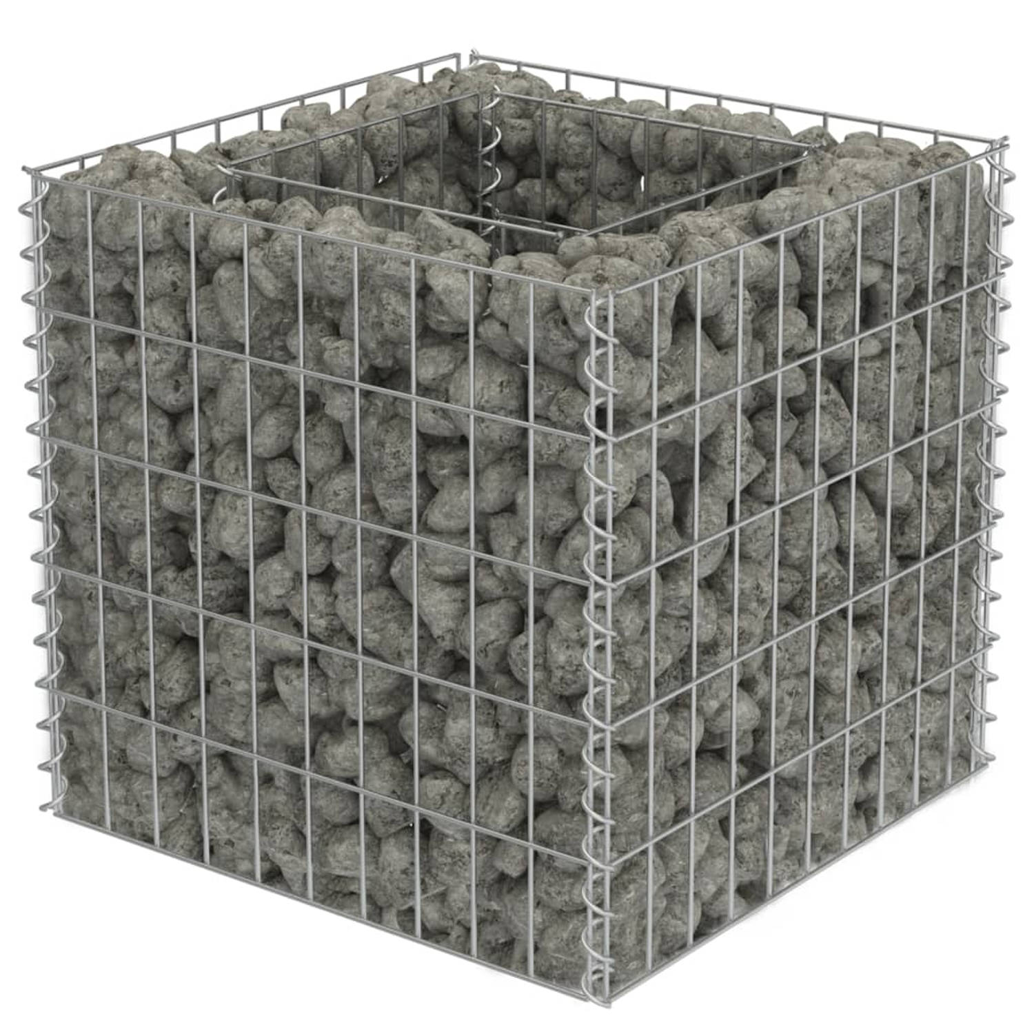 The Living Store Gabion plantenbak verhoogd 50x50x50 cm gegalvaniseerd staal - Bloempot