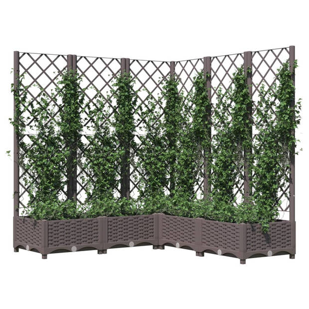 vidaXL Plantenbak met latwerk 120x120x121,5 cm polypropeen bruin