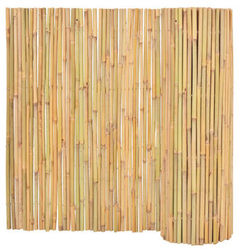 The Living Store Bamboe Tuinhek - 300 x 100 cm - Naturel