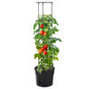 The Living Store Tomaten kweekpot - Polypropeen - 29.5 x 115 cm - Antraciet