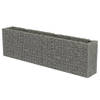 The Living Store Gabion - Verhoogde Tuinbak - 360 x 50 x 100 cm - Gegalvaniseerd Staal