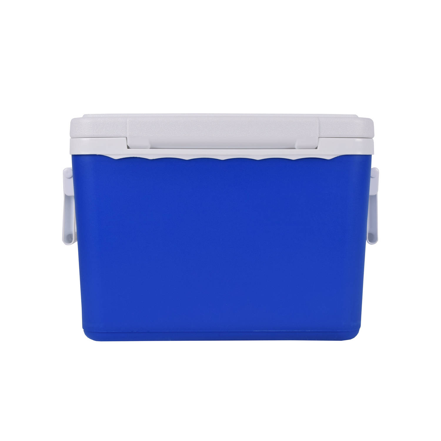 Koelboxen Blauw 27 Liter Camping en Auto 42 cm*32 cm*33 cm Draagbare Mini en Kleine Koelboxen wit 2-delig