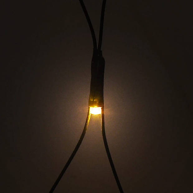 The Living Store Kerstverlichting LED 204 - 3 x 2 m - 8 lichteffecten