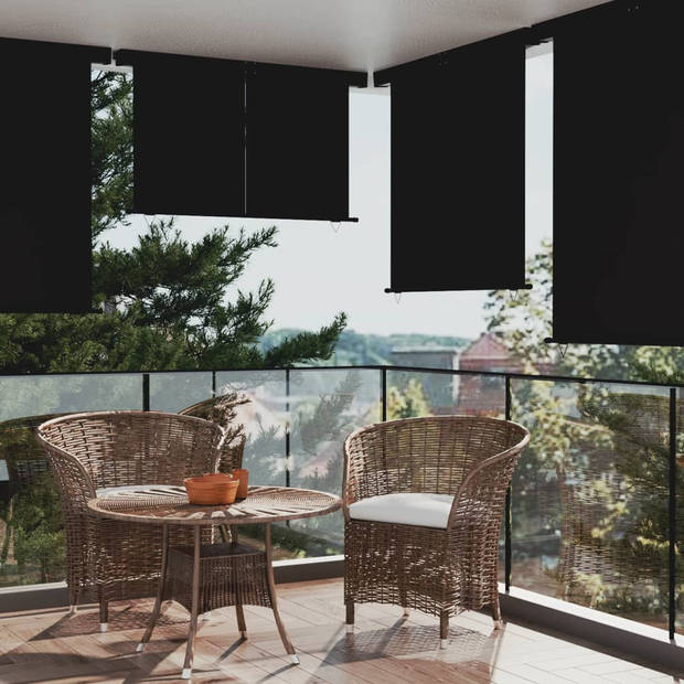 The Living Store Zonnescherm 160 x 250 cm - UV- en scheurbestendig polyester - Automatisch oprollen - Zwart