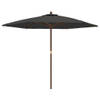 The Living Store Parasol Antraciet - 299 x 240 cm - Duurzaam polyester - Stabiel hardhouten frame - Ventilatierooster -