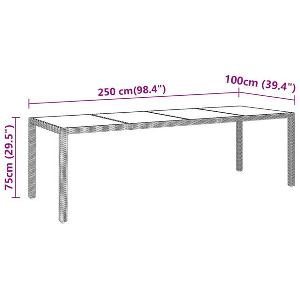 vidaXL Tuintafel 250x100x75 cm gehard glas en poly rattan zwart