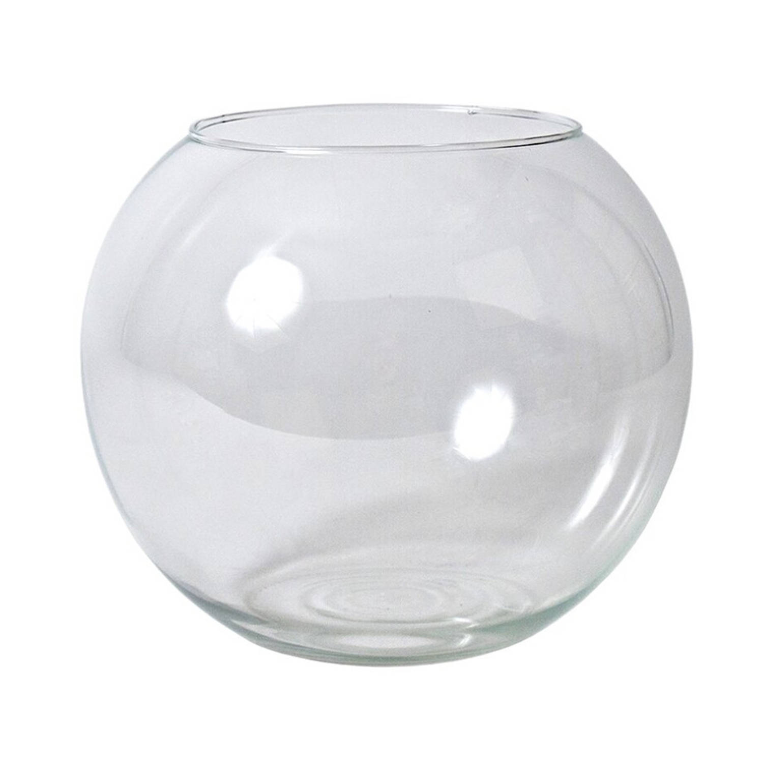 Gerimport Bol vaas/terrarium - D25 x H21 cm - glas - transparant - Vazen
