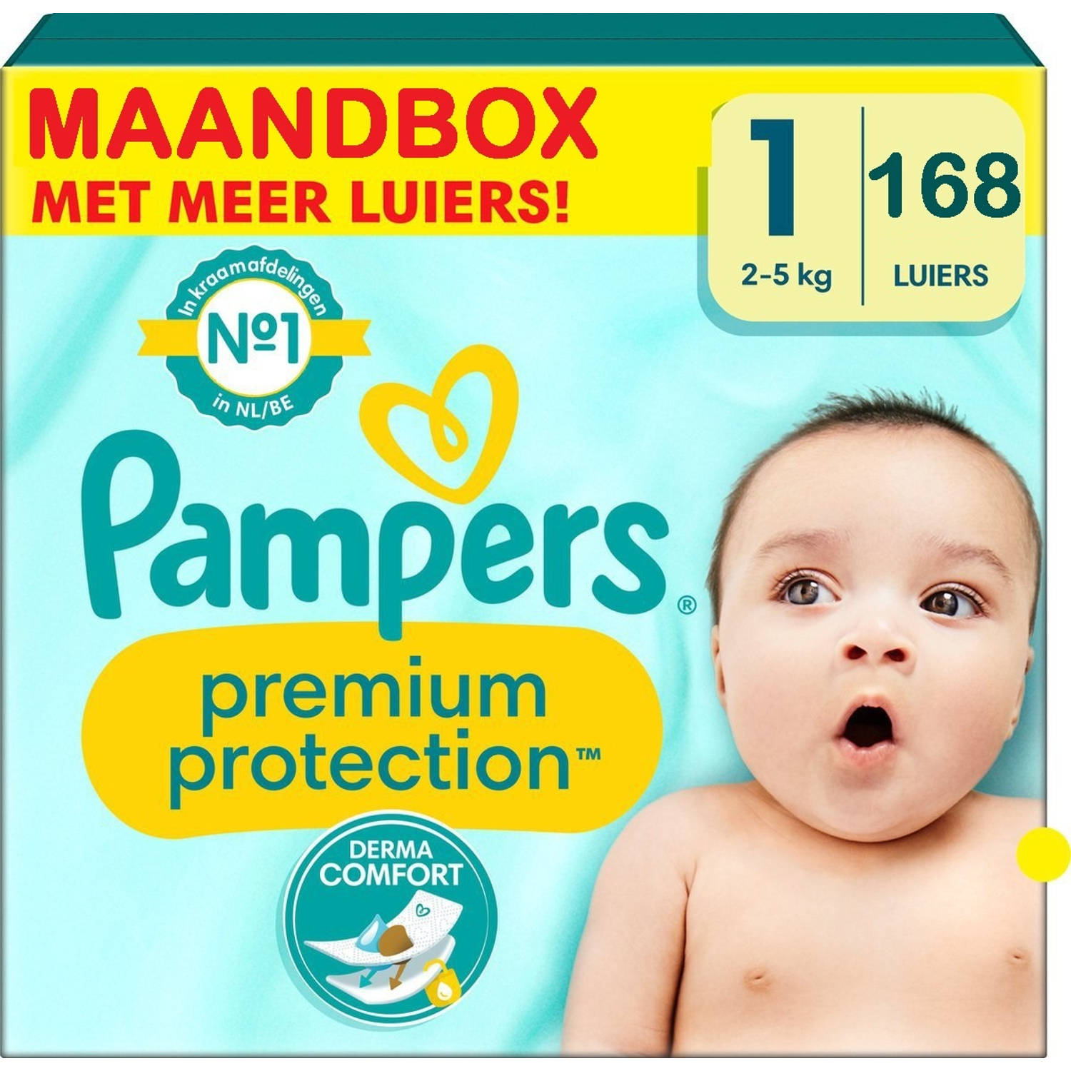 Pampers - Premium Protection - Maat 1 - Maandbox - 168 stuks - 2/5KG